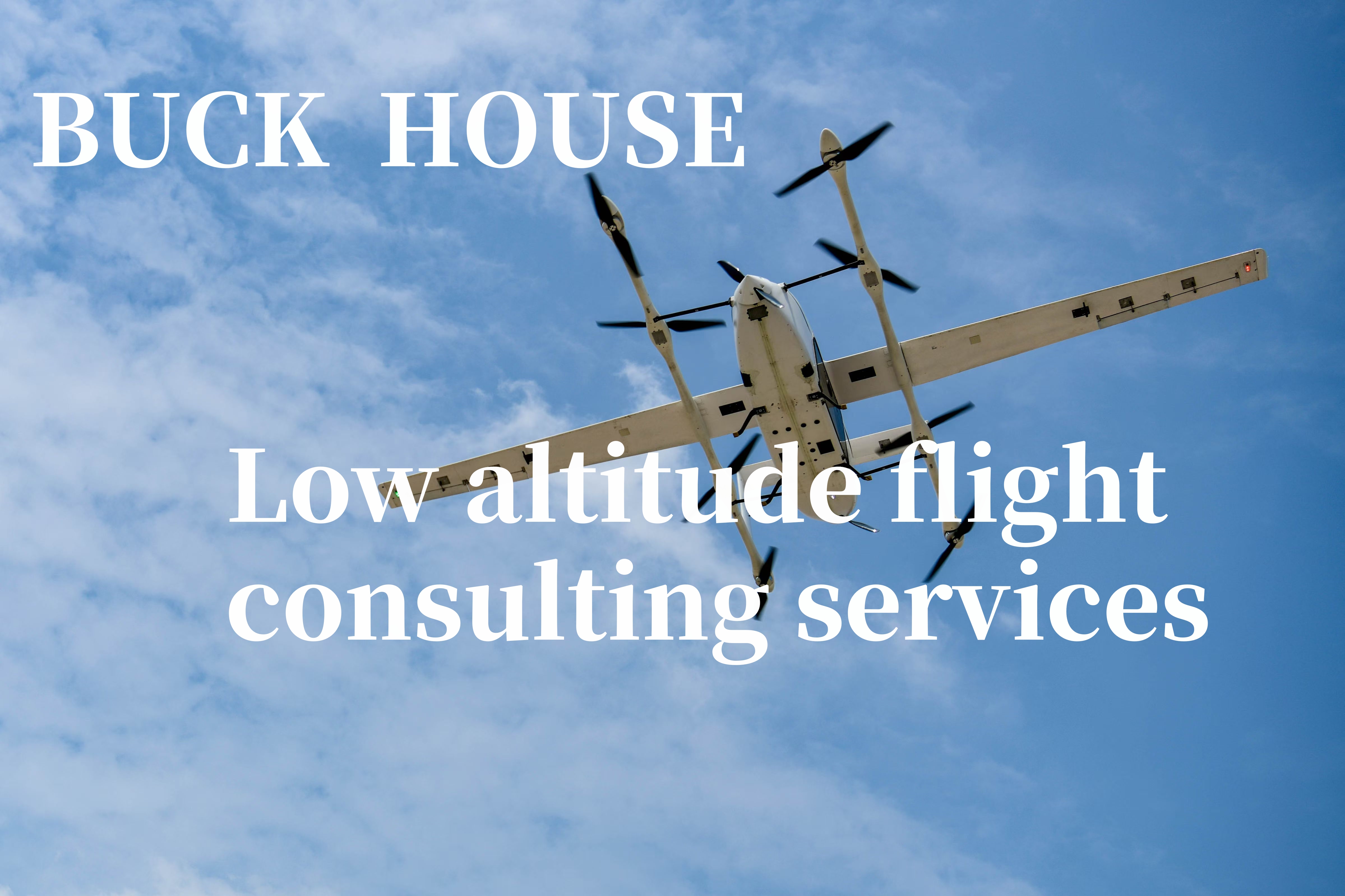 Low altitude flight consulting services