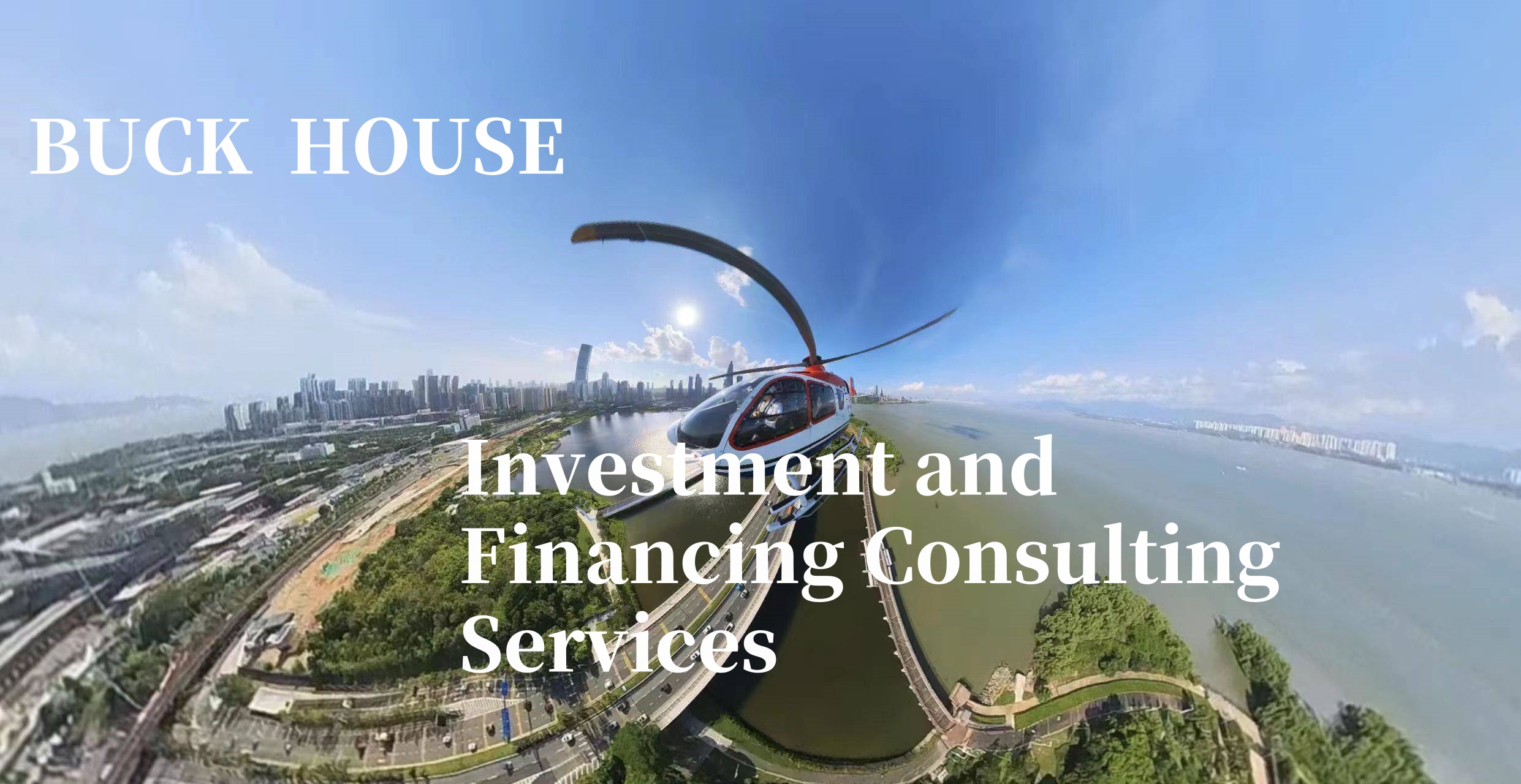 Investment and Financing Consulting Services
