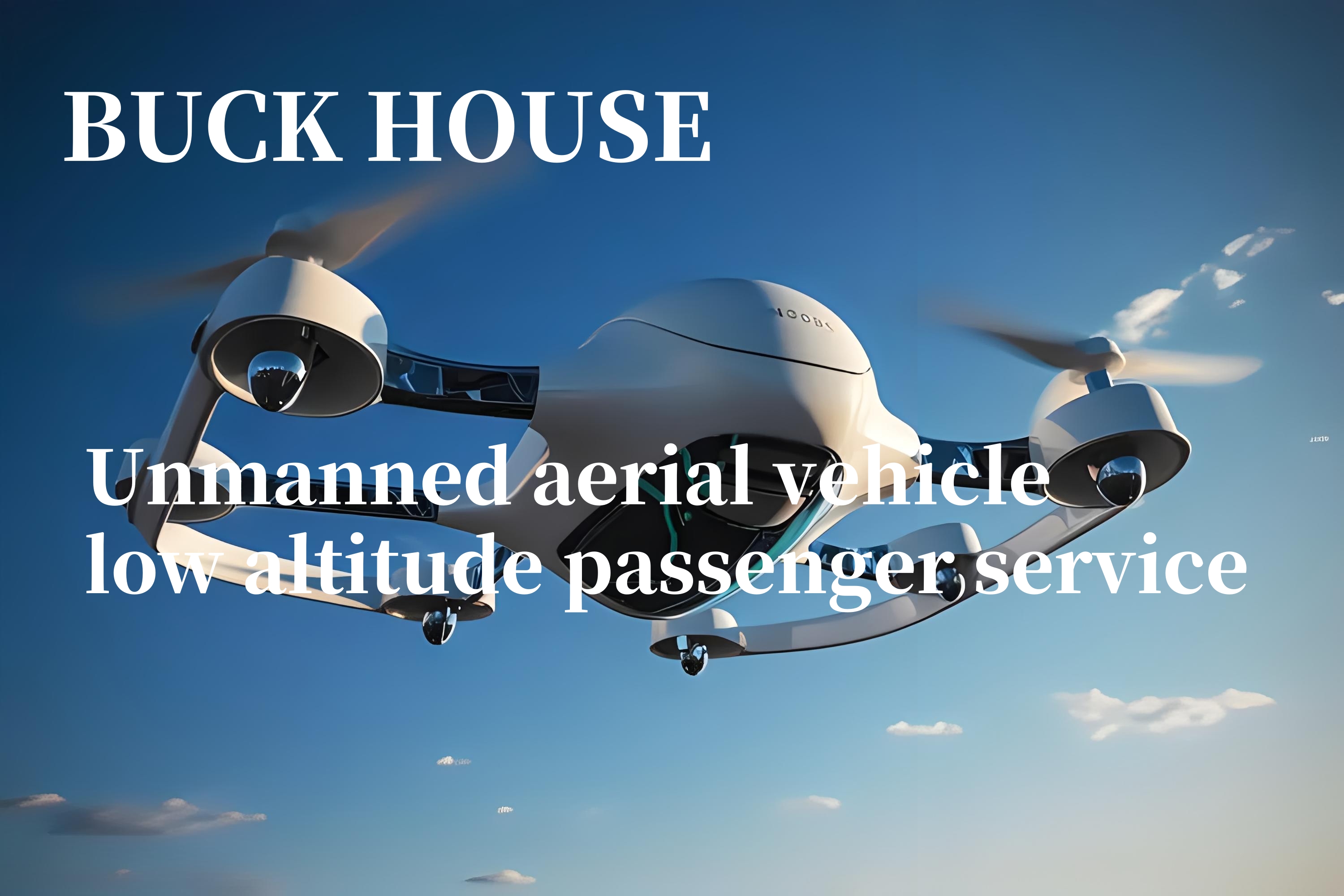Unmanned aerial vehicle low altitude passenger service