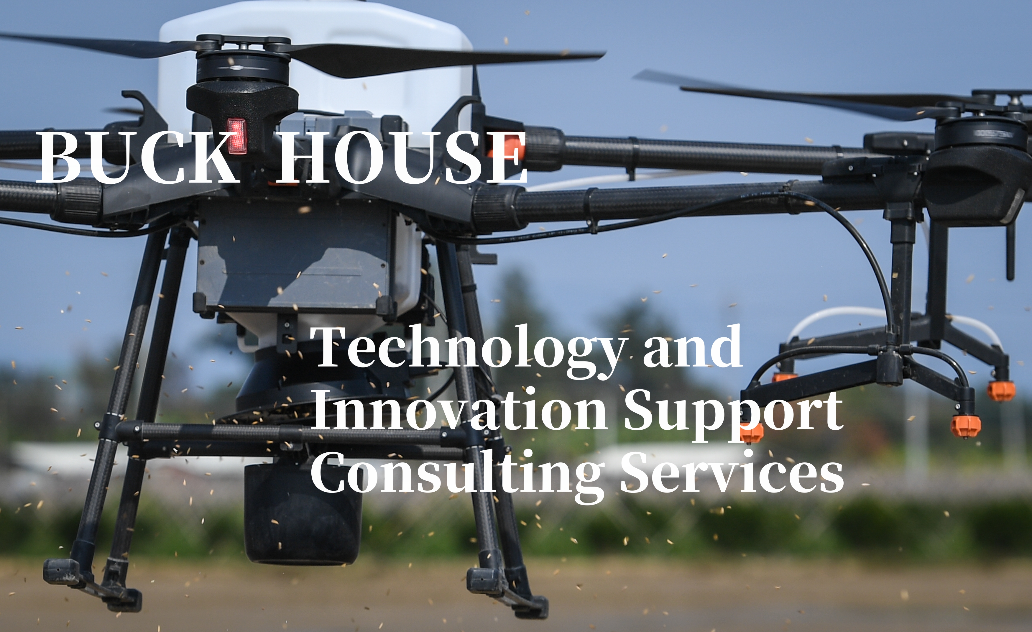 Technology and Innovation Support Consulting Services
