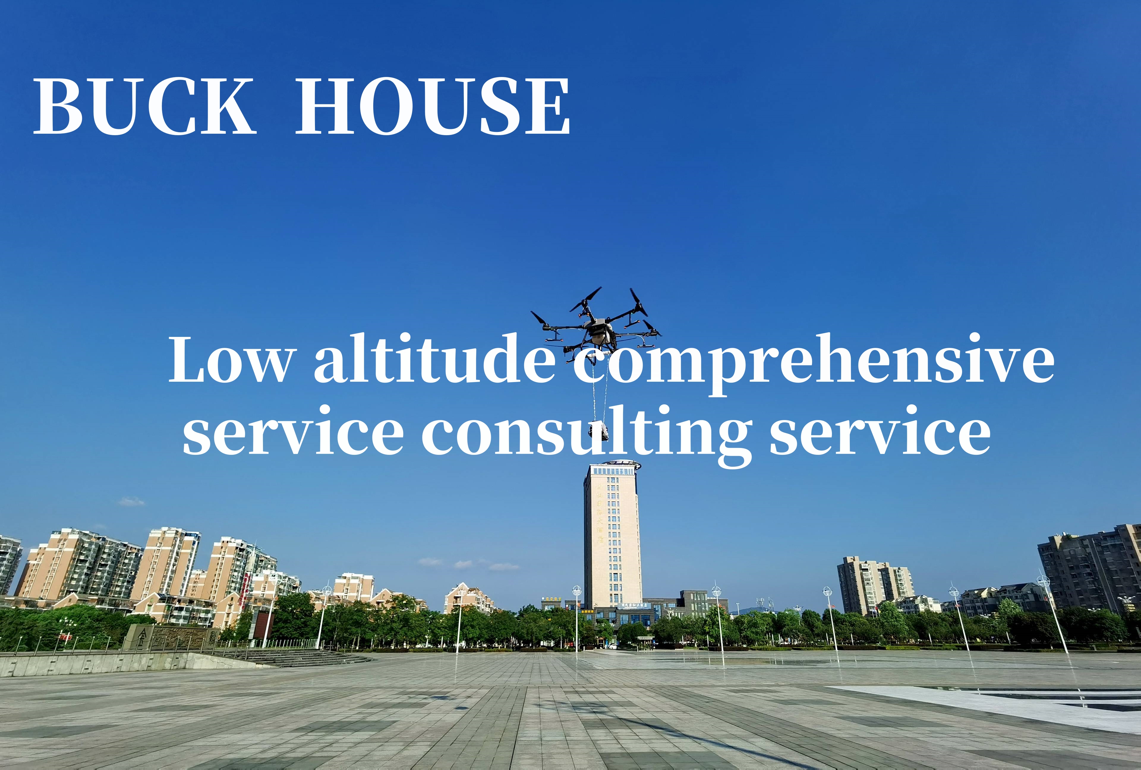 Low altitude comprehensive service consulting service